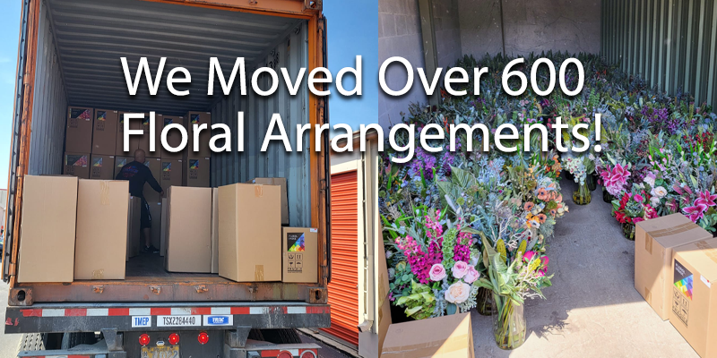 Case Study: All State Movers Inc