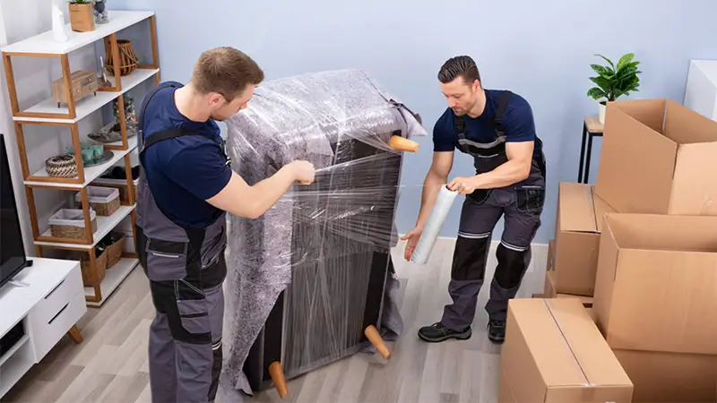 How to protect your furniture blog post